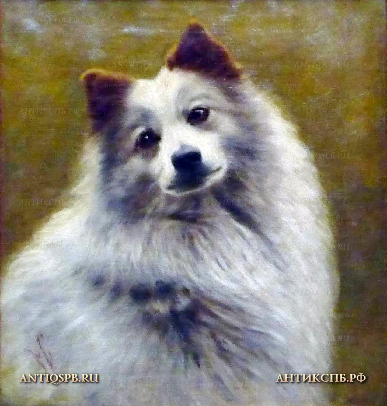 Картина старинная "Собака". Холст, масло. Нач. ХХ века. №15017