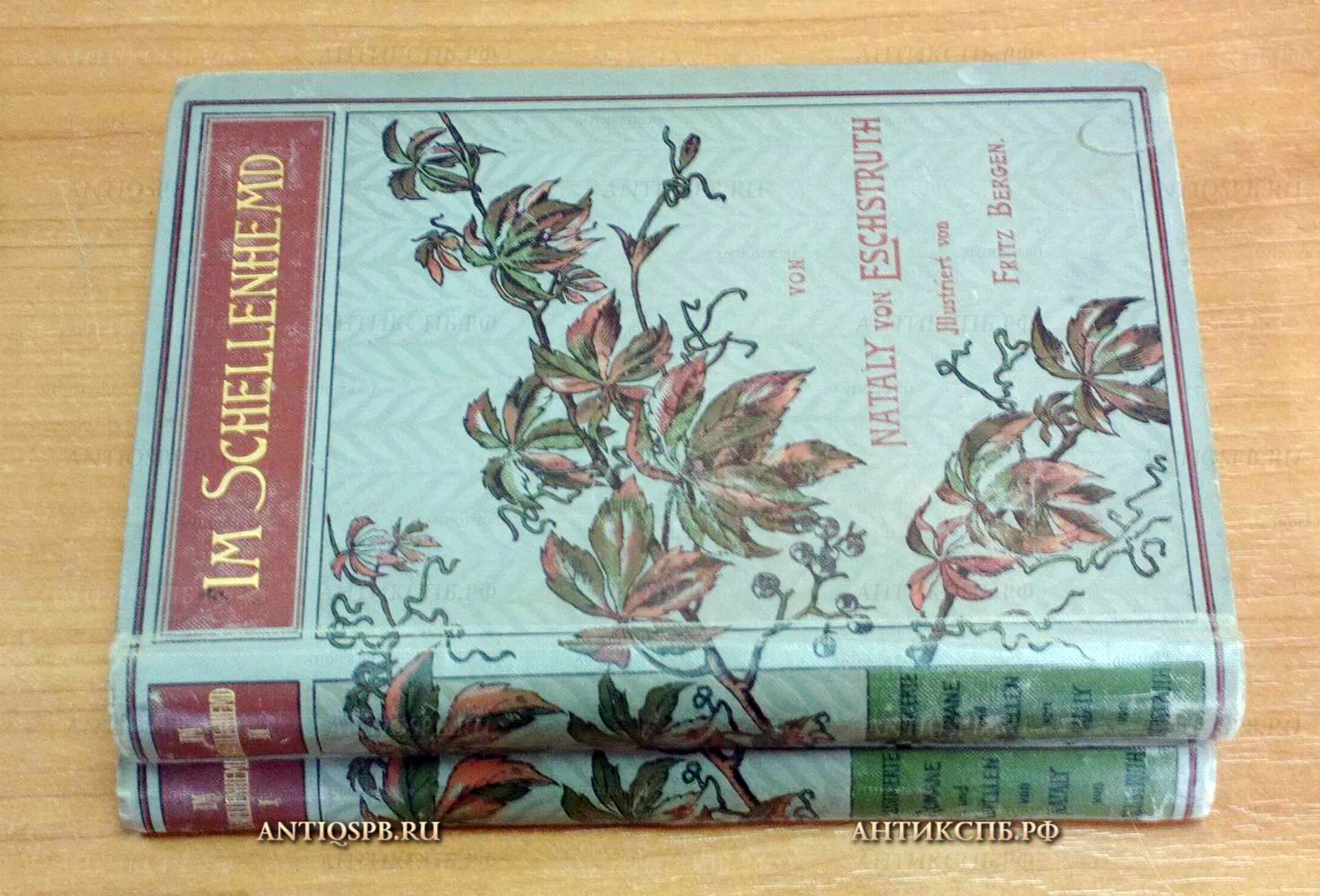 15884. Книга "Im Schellenhemd" на немецком языке. Автор: Nataly von Eschstruth. Leipzig. Издание: Paul List Teil. 2 книги. Тома: 1,2.