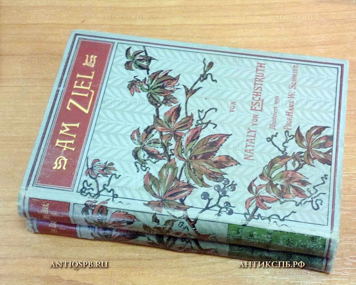 15885. Книги "Am Ziel" на немецком языке. Автор: Nataly von Eschstruth. Leipzig. Издание: Paul List Teil. 2 книги. Тома: 1,2.