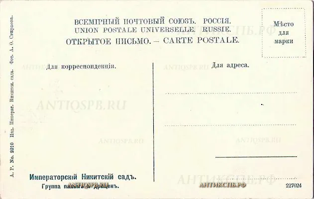 Открытка старинная "Императорский Никитский сад. Группа пальм и драцен". Россия. Нач. ХХ века. №5286.4-554