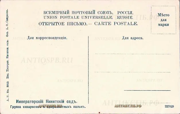 Открытка старинная "Императорский Никитский сад. Группа кипарисов и вееролистных пальм". Россия. Нач. ХХ века. №5286.5-552
